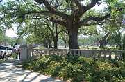 New Orleans 04-08-06 111